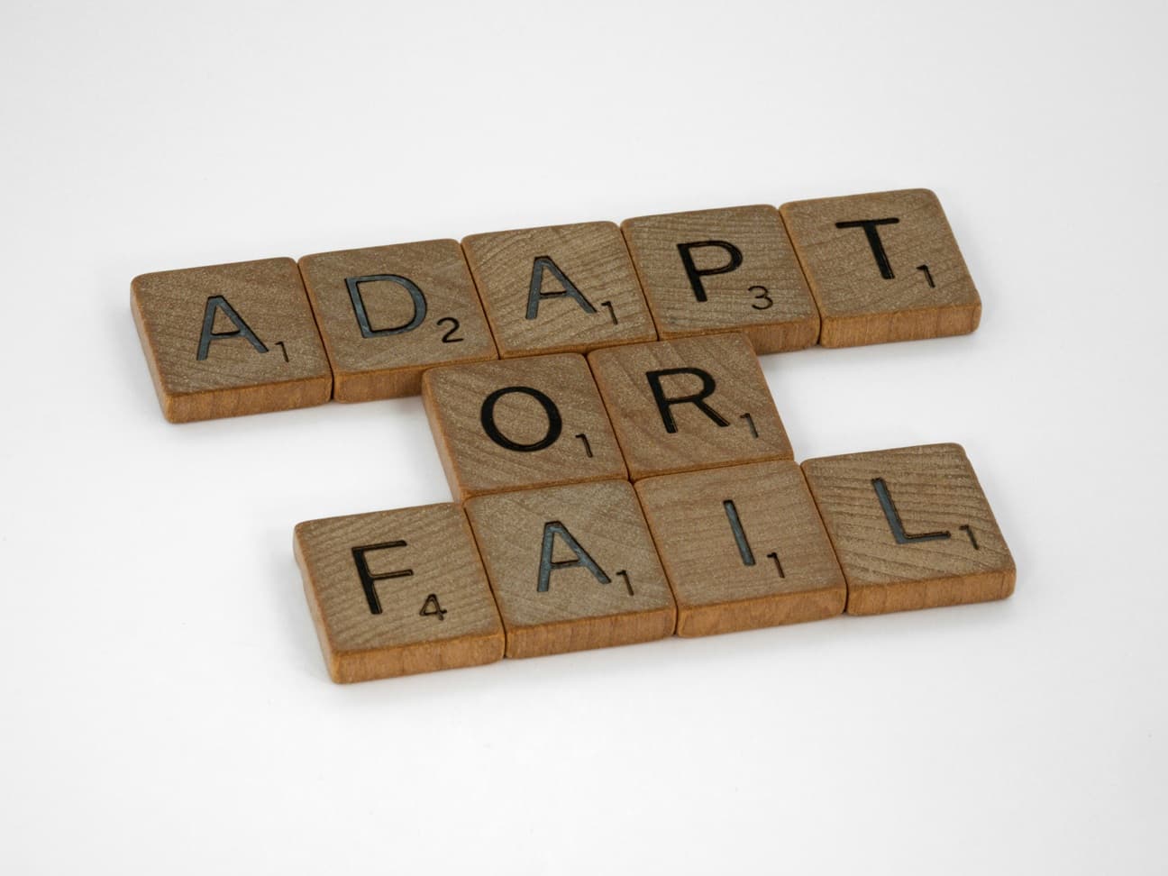 Flexible arrows symbolizing adaptability