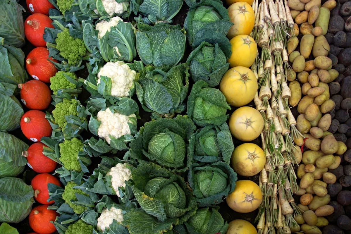 A diverse spread of vegetables, fruit, legumes, nuts, and seeds