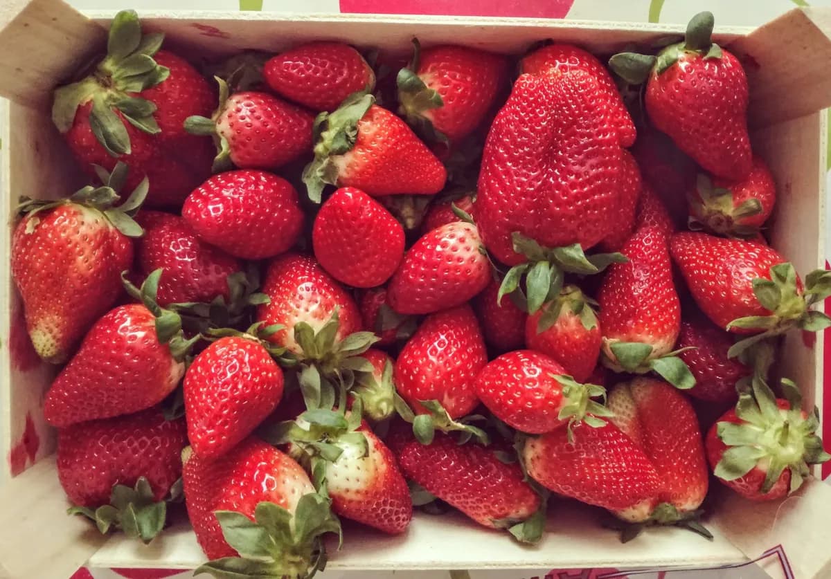 Basket of colourful seasonal produce