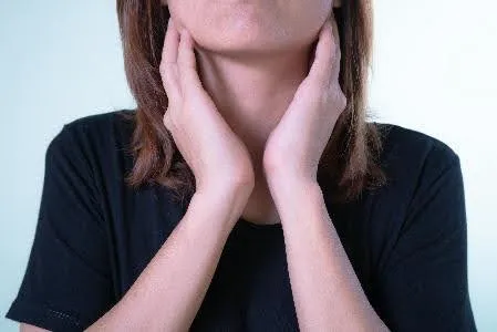 Illustration of the thyroid gland in the neck
