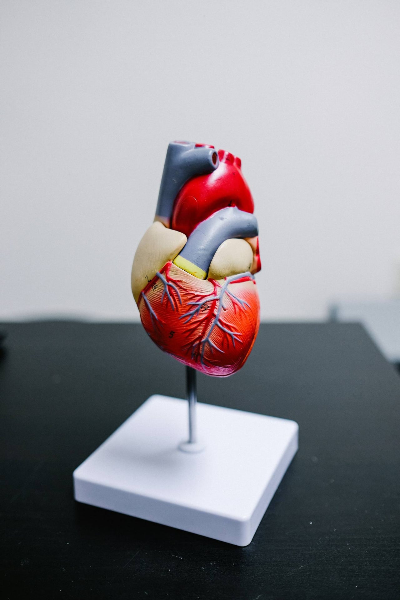 Maladie Cardiaque