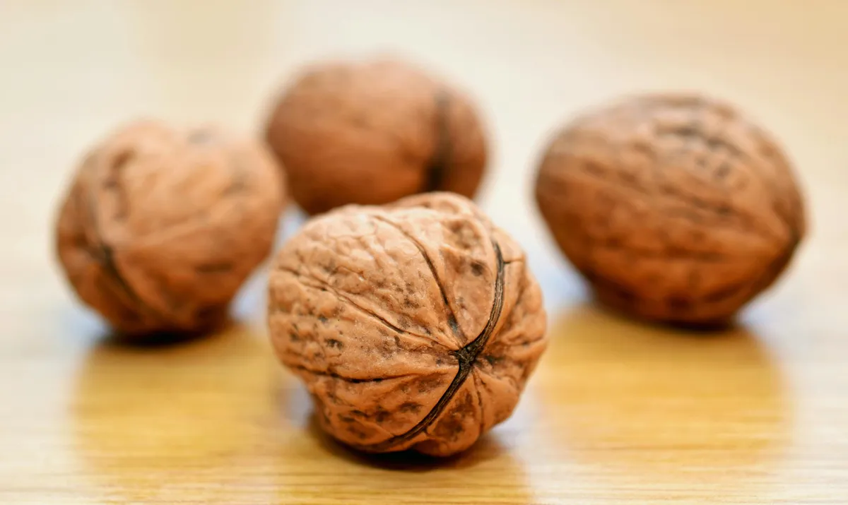 Omega-3 and nutrient-rich foods for the brain