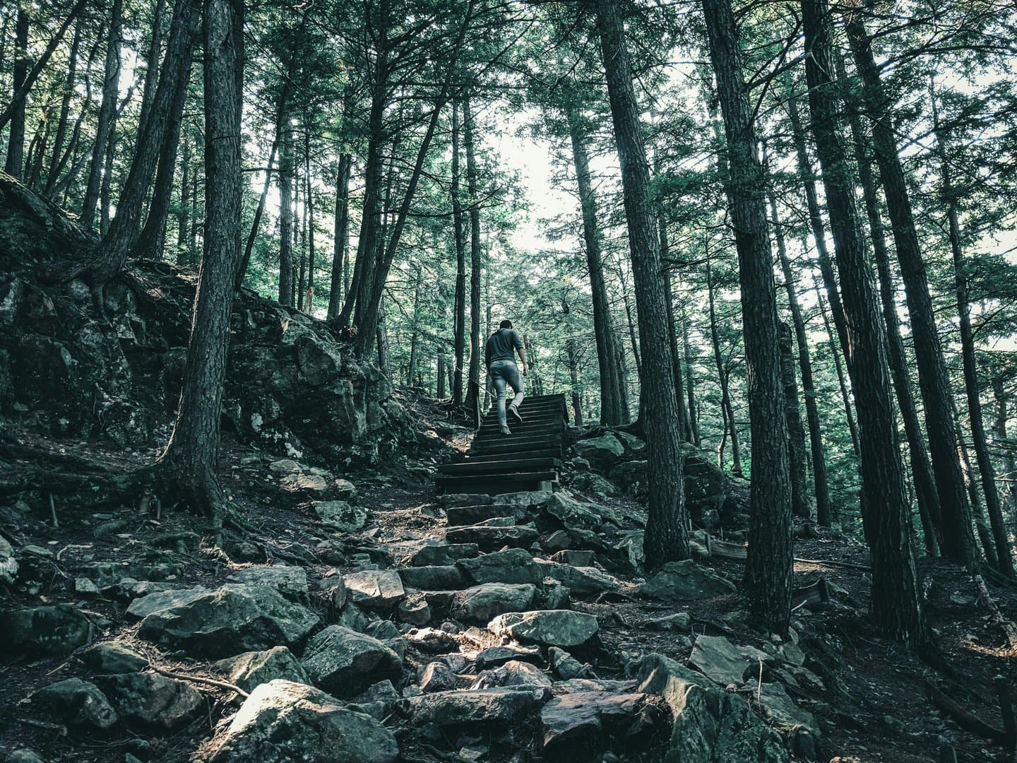 Collations santé à emporter pour vos randonnées au parc de la Gatineau