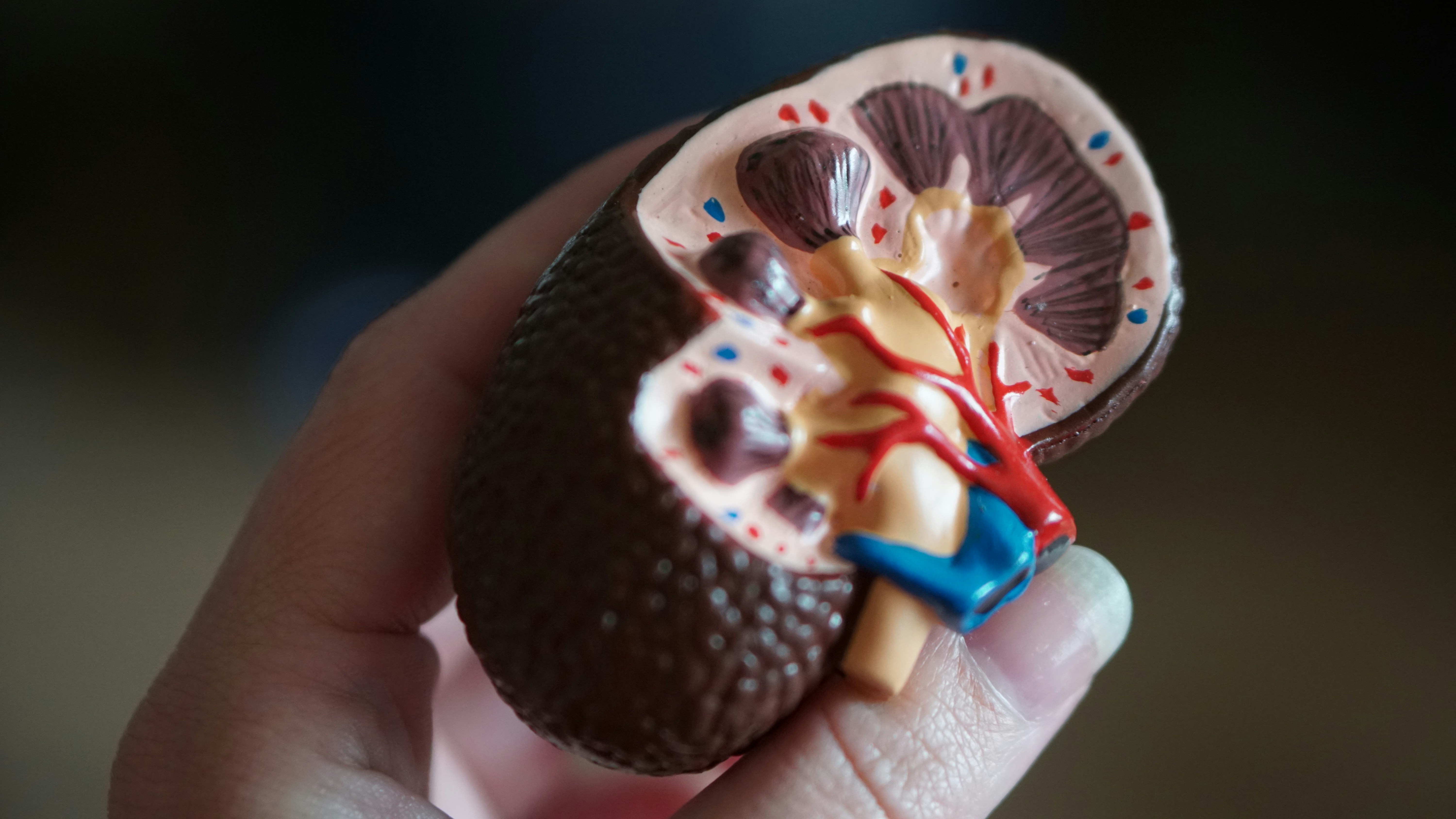 Liver Disease